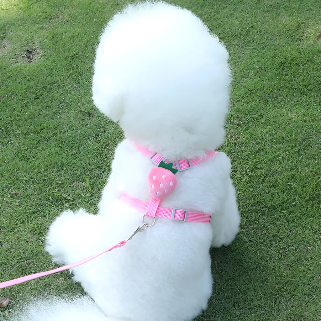 Reflective vest-style dog walking lead with chest strap in avocado colour for small dogs