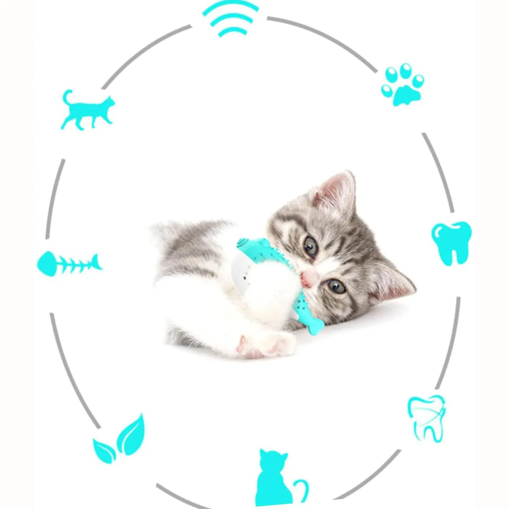 Silicone fish-shaped cat chew toy in blue colour measuring 12.2cm long
