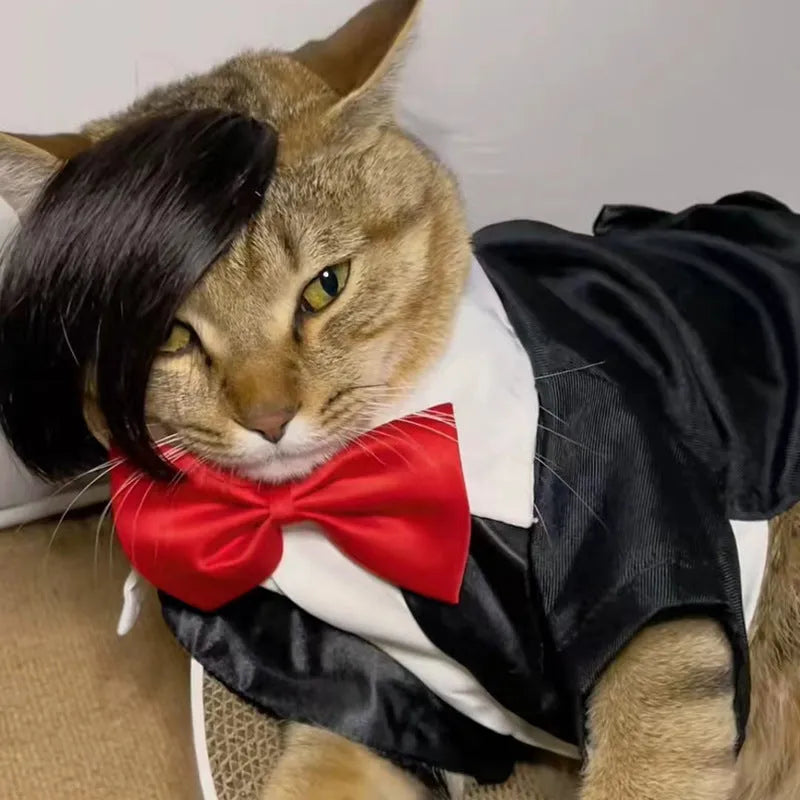 Black polyester cat wig with imitation braid design for pet dress-up