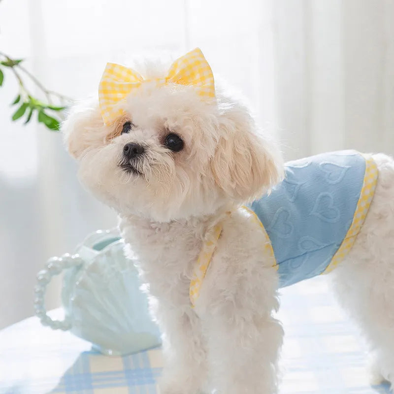 Small dog wearing heart pattern bow suspenders vest with matching hairband in Bondi Blue colour