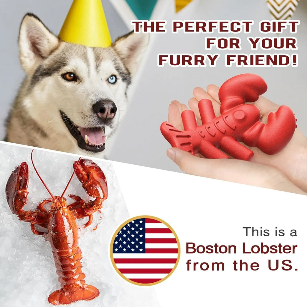 Red bone-shaped nylon chew toy for large aggressive chewing dogs on white background