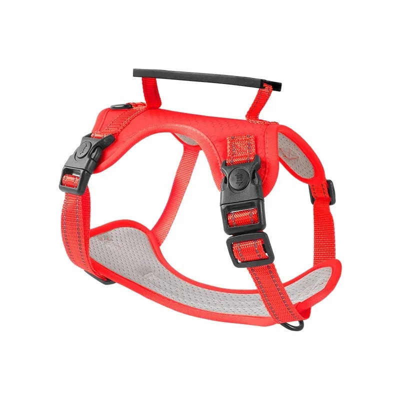 Adjustable dog harness and lead set in multiple colours with chest strap design