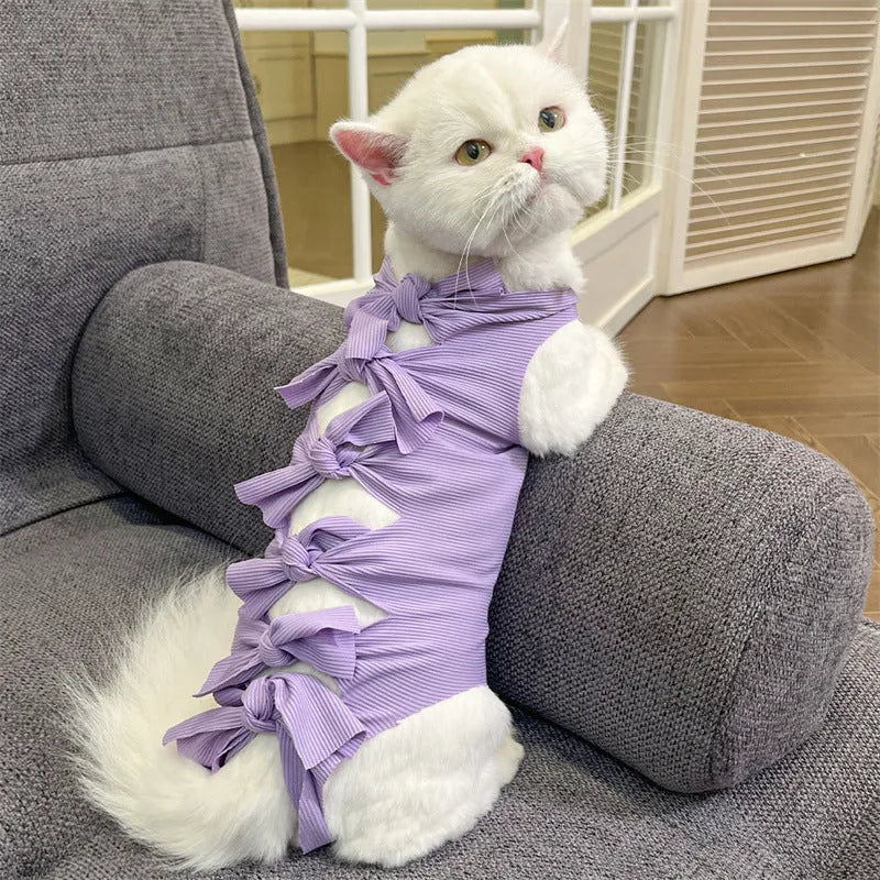 Lace-up polyester cat recovery suit in blue colour, shown on a cat model.