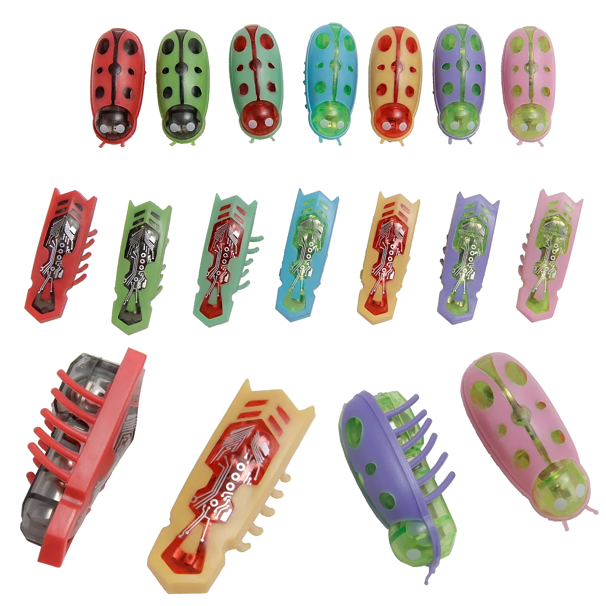 Electric bug cat toy showing ladybird design with motorised movement on flat surface
