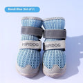 Cartoon style summer dog shoes with anti-scald protection in Bondi Blue and Dean Green colours