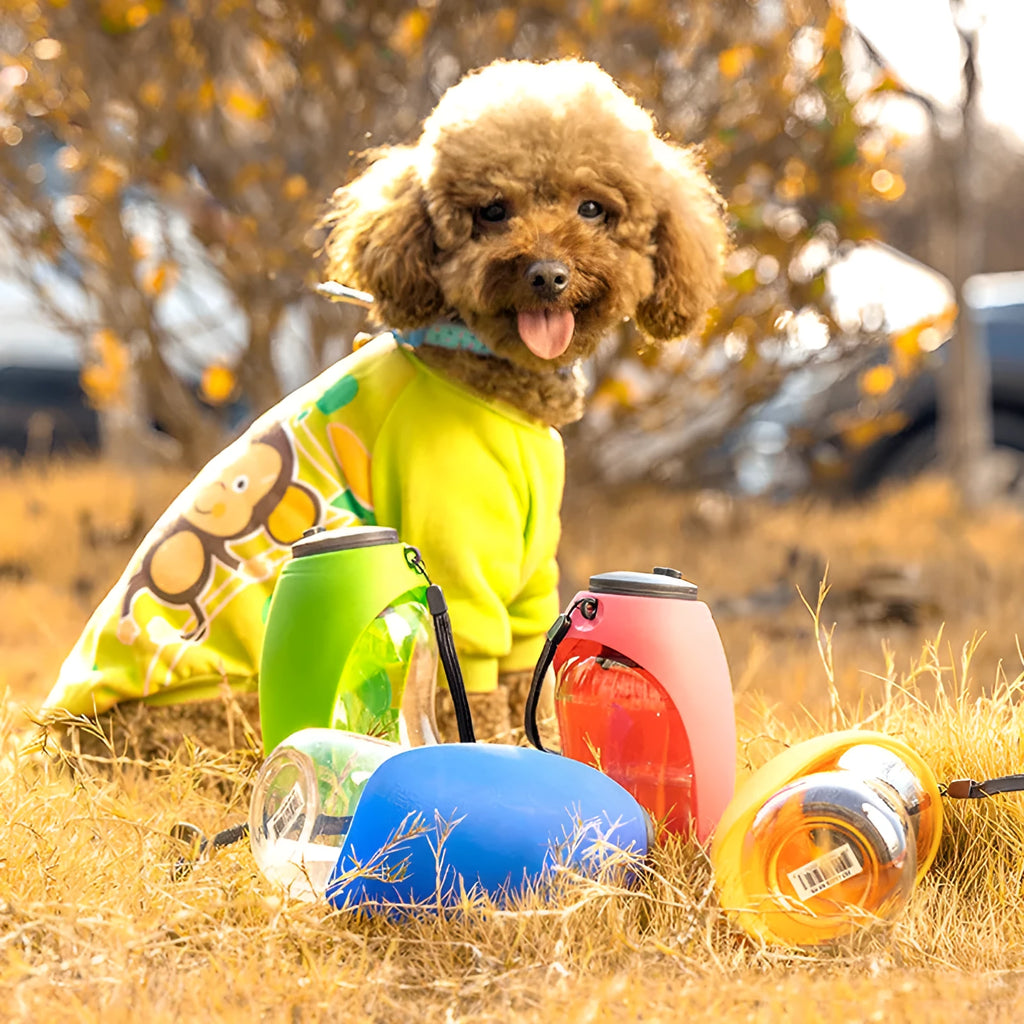 Portable pet dog water bottle with 680ml capacity, wide sink bowl, and leak-proof lock in fruit green colour