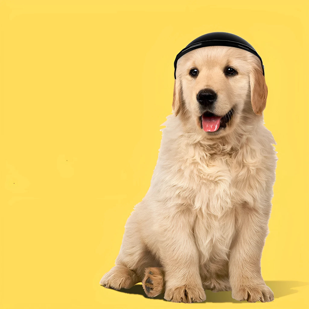 Small S size plastic pet helmet for dogs and cats in black, green, pink, or yellow.