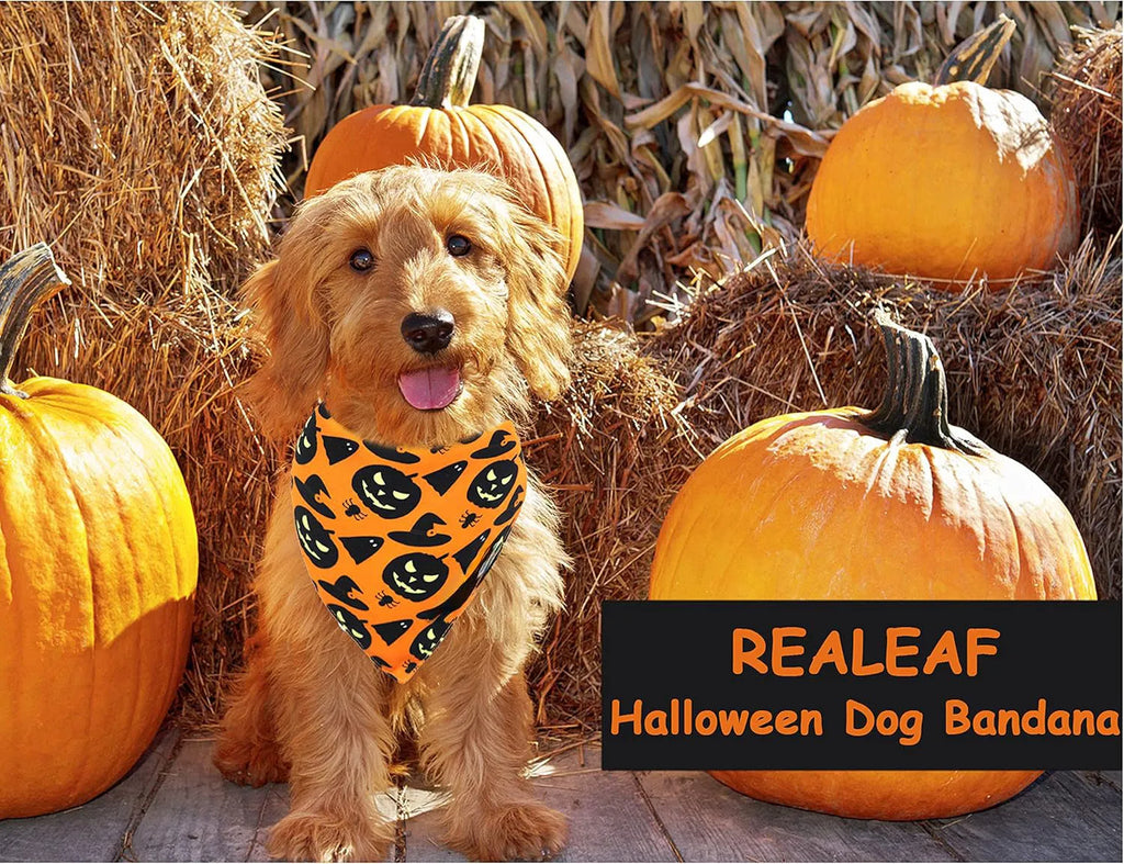Reversible Halloween dog bandana with pumpkin and spider web designs in black and orange colours