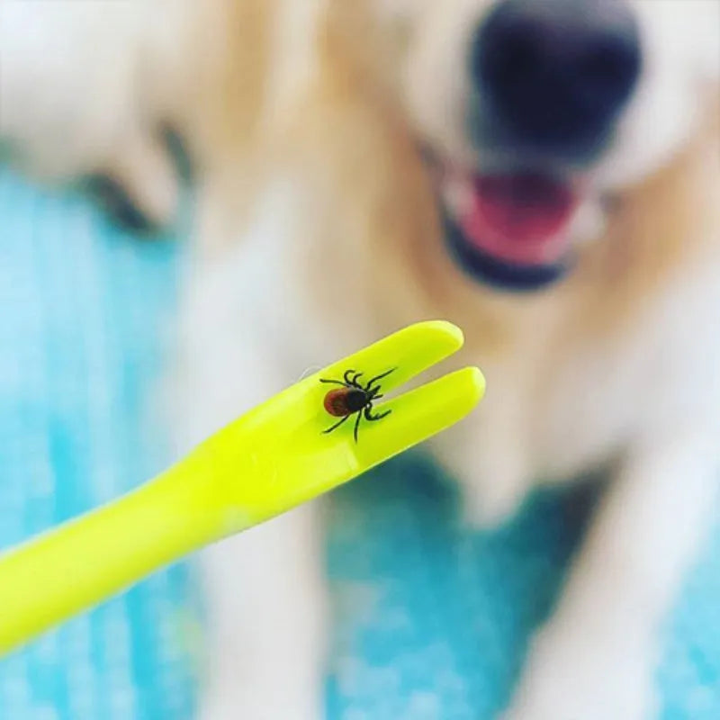 Three blue and green plastic pet tick removal hook tools on a white background.