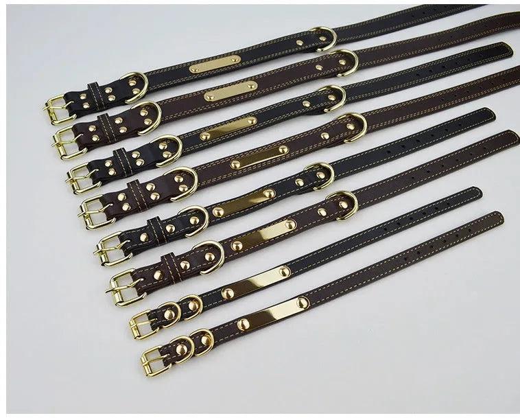 Pet lettering dog collar in microfiber leather, medium size, black colour, with adjustable buckle