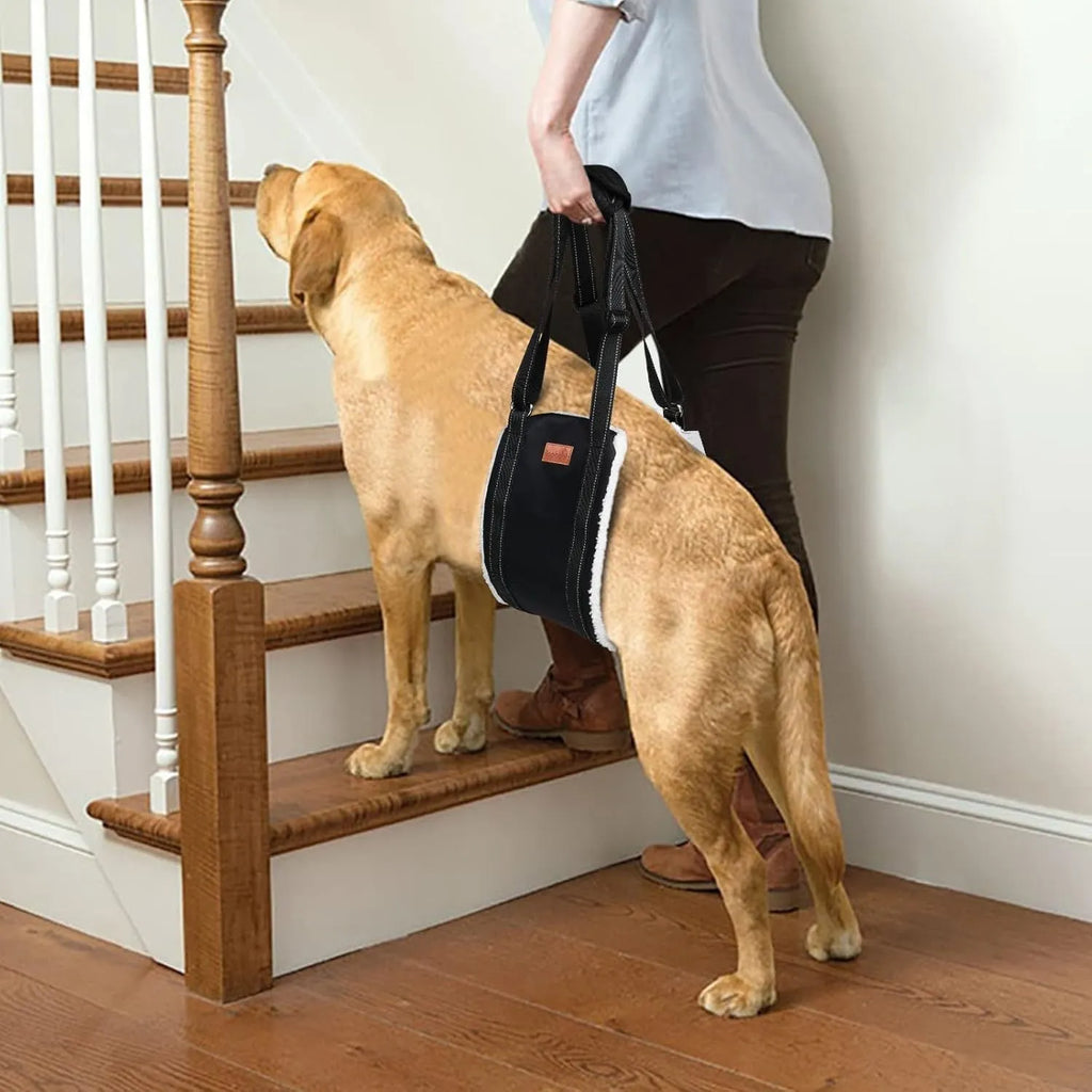 Adjustable dog sling supporting hind legs and buttocks with reflective straps and soft liner.