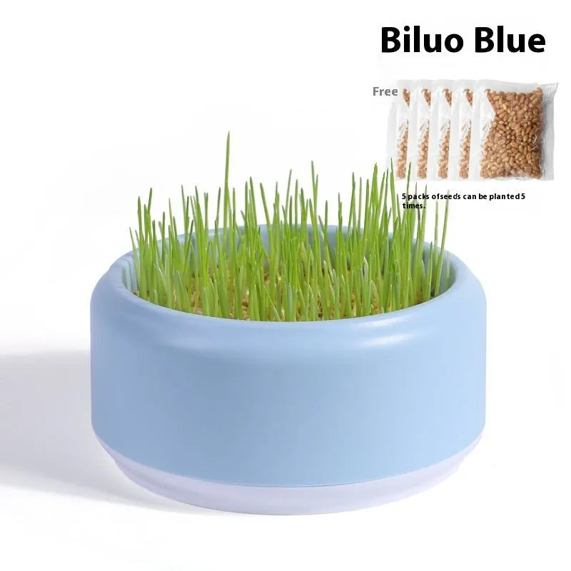Hydroponic cat grass growing kit with soilless cup and five seed packs in blue, green or yellow colours
