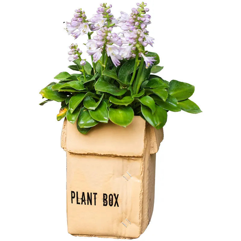 Cement flowerpot with bottom drainage holes and paper box texture in Nordic style design