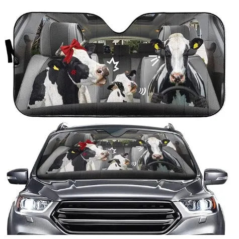 Aluminium foil telescopic car sun visor shown extended on a car windscreen.