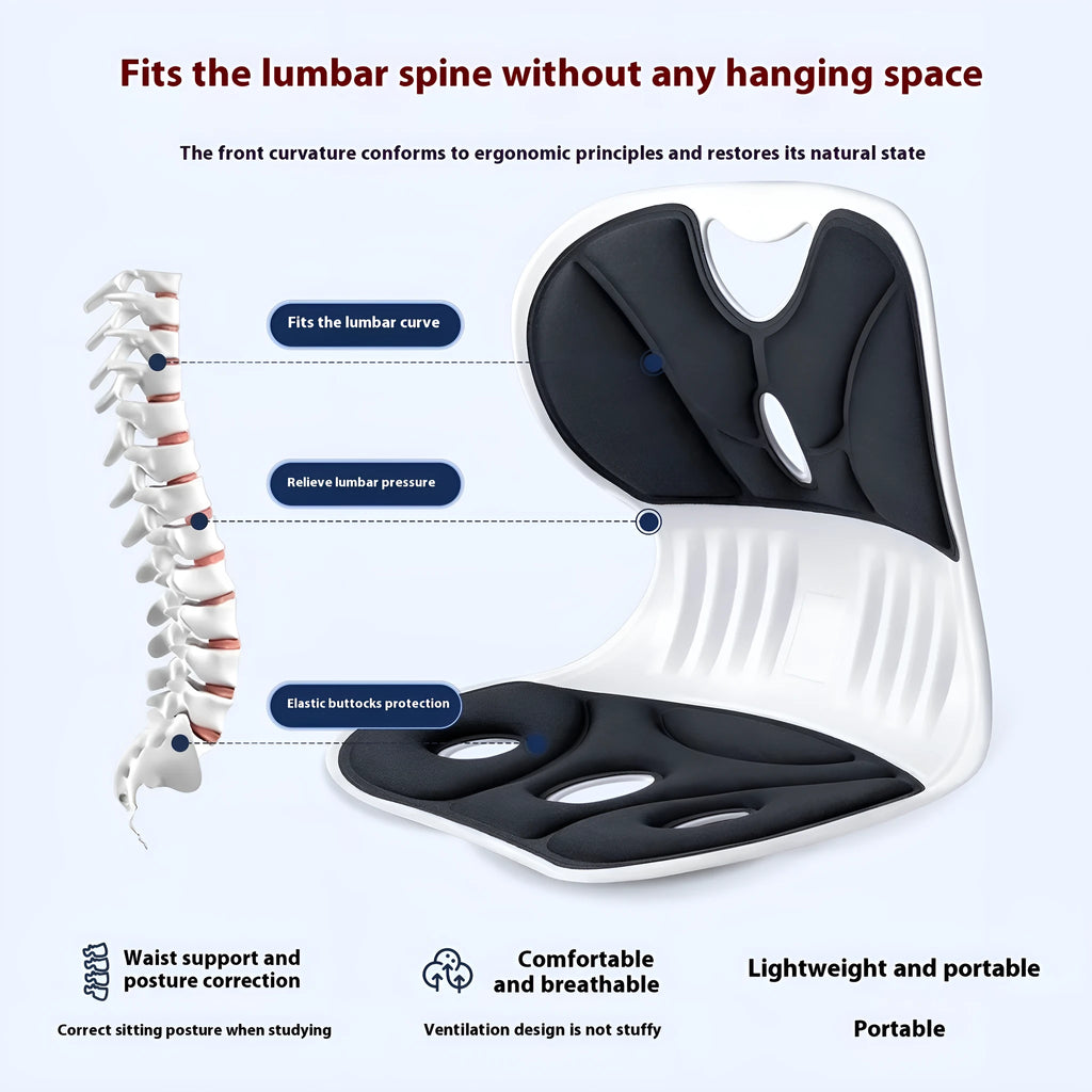 Grey and black waist support seat cushion with sponge filler for lumbar support.
