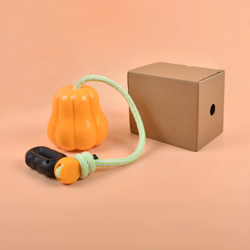 Bite Molar plastic dog toy in single pumpkin colour with rope attachment for outdoor fetch games