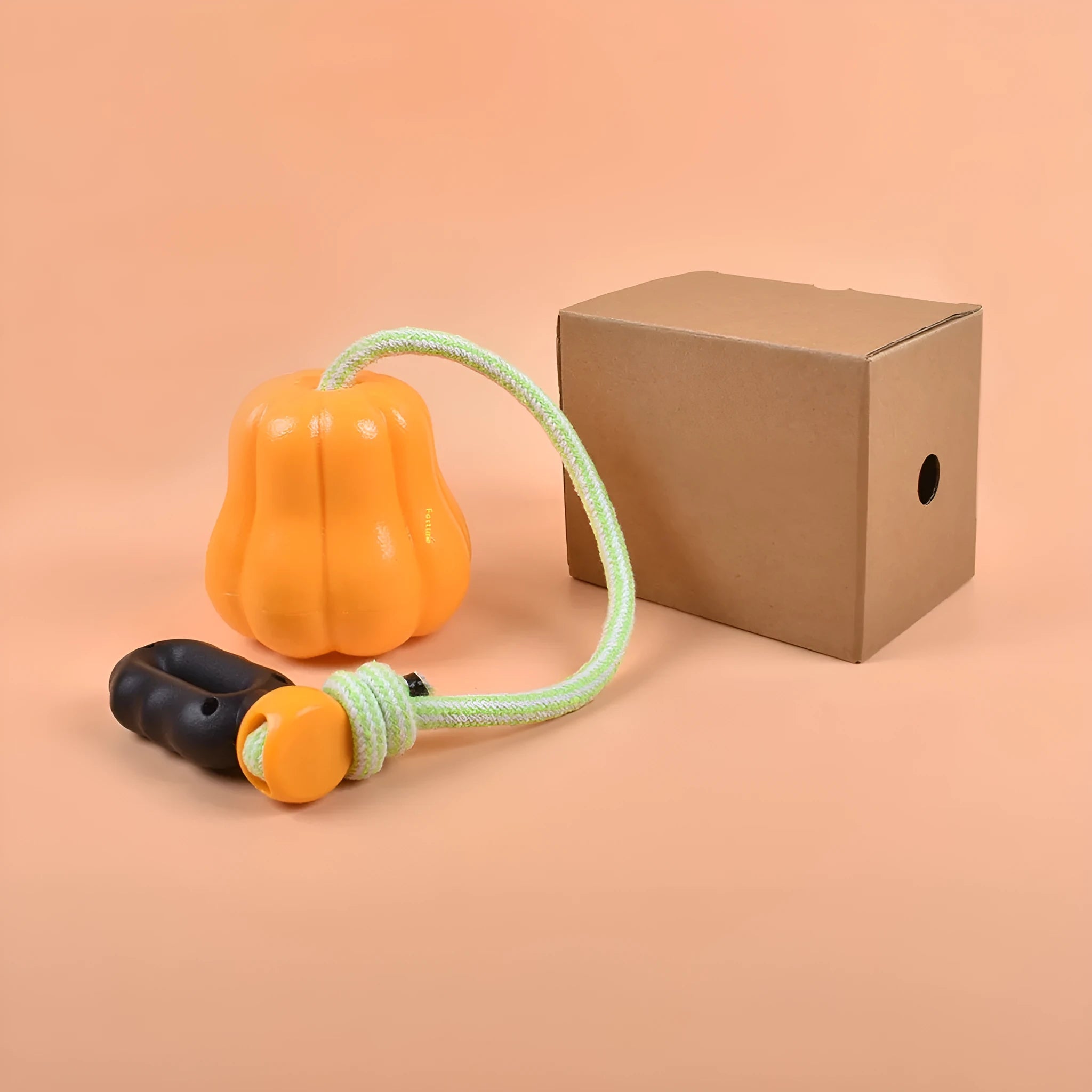 Bite Molar plastic dog toy in single pumpkin colour with rope attachment for outdoor fetch games