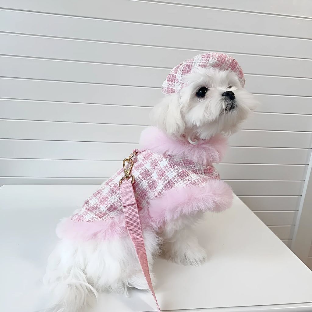 Pink polyester cat costume with a hooded beret and a matching cape on a cat