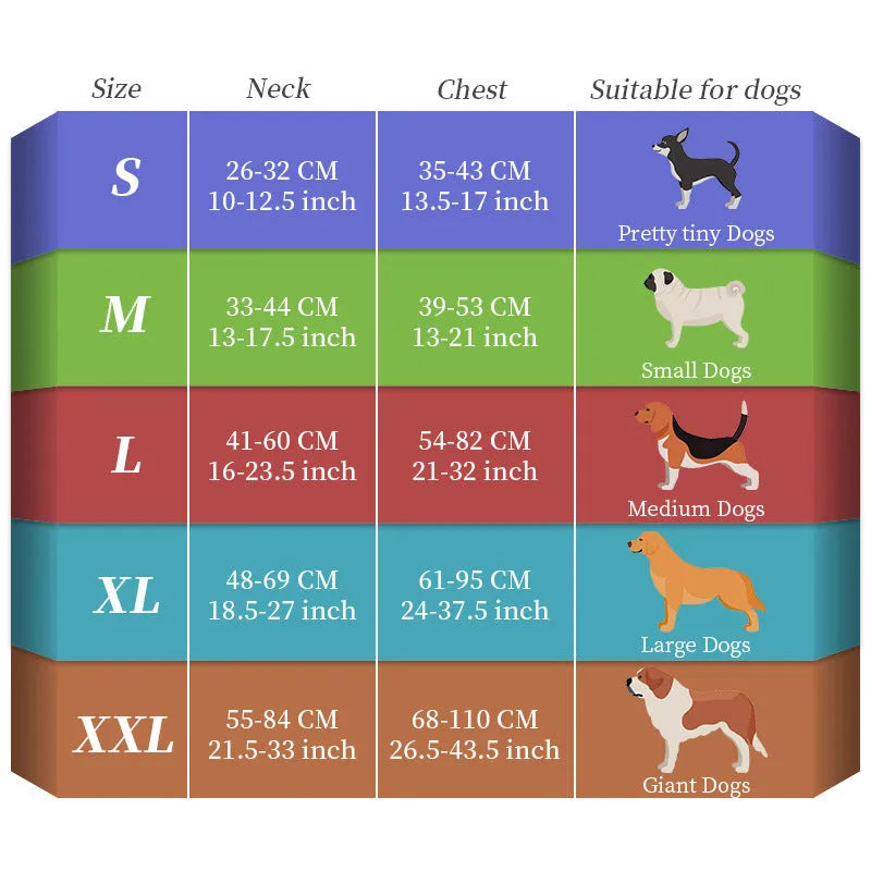 Nylon dog lead with multi-colour LED lights and a USB charging cable on a grey background