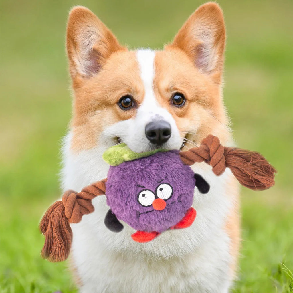 Green and purple interactive dog toy with plush fabric and rope knot construction for tug-of-war games