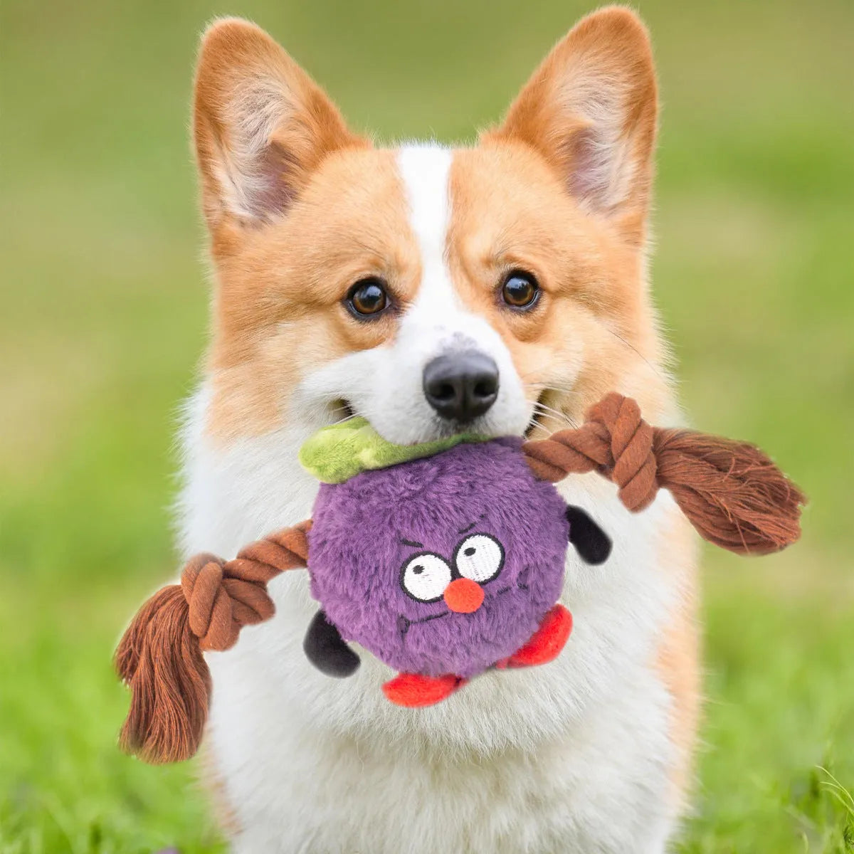 Green and purple interactive dog toy with plush fabric and rope knot construction for tug-of-war games