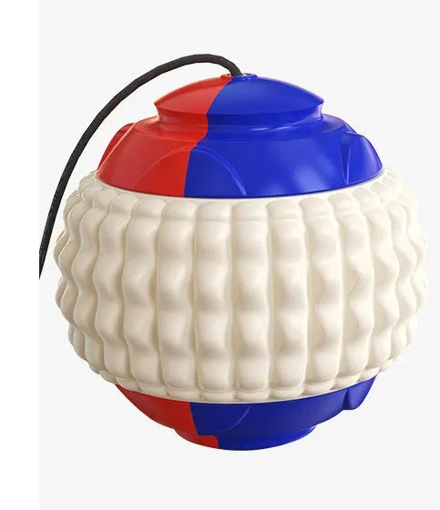 Blue ABS plastic dog training ball with retractable drawstring and molar cleaning bumps