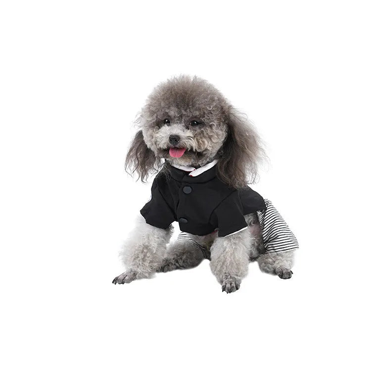 Cotton poodle dog clothes in skirt or four-legged pants styles for spring and autumn wear