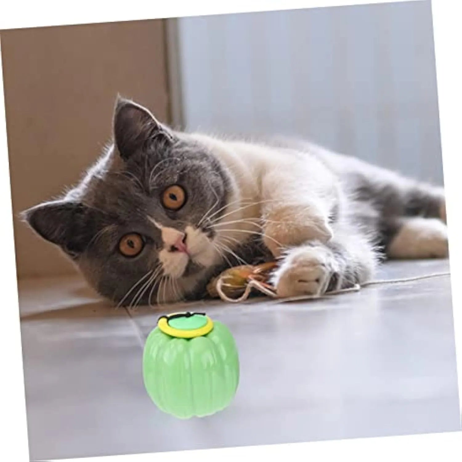 Green, orange and yellow plastic pumpkin squeaky dog ball toy for small dogs