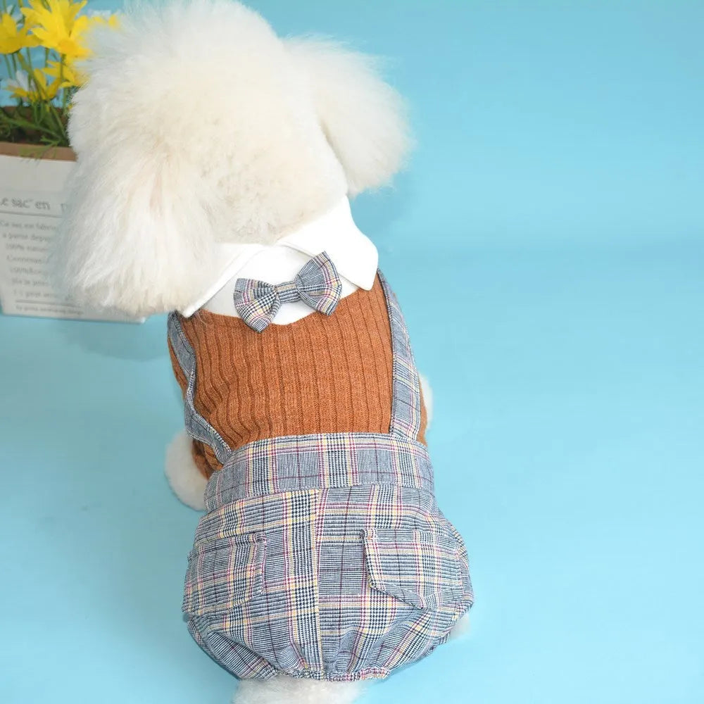 Cotton dog shirt suit in dark blue and orange colours available in S M L XL 2XL sizes