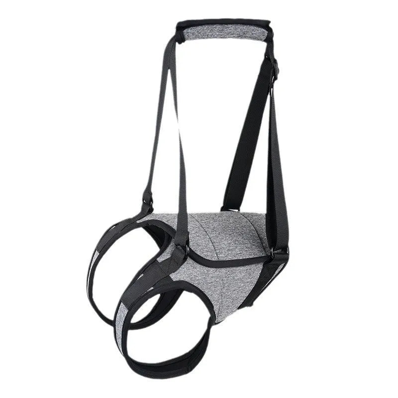 Grey neoprene dog rear leg recovery belt showing adjustable design for injury support
