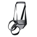 Grey neoprene dog rear leg recovery belt showing adjustable design for injury support