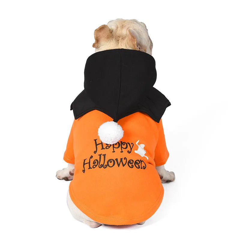 Black and orange Halloween pumpkin print two-piece dog clothes set with sweater and shawl
