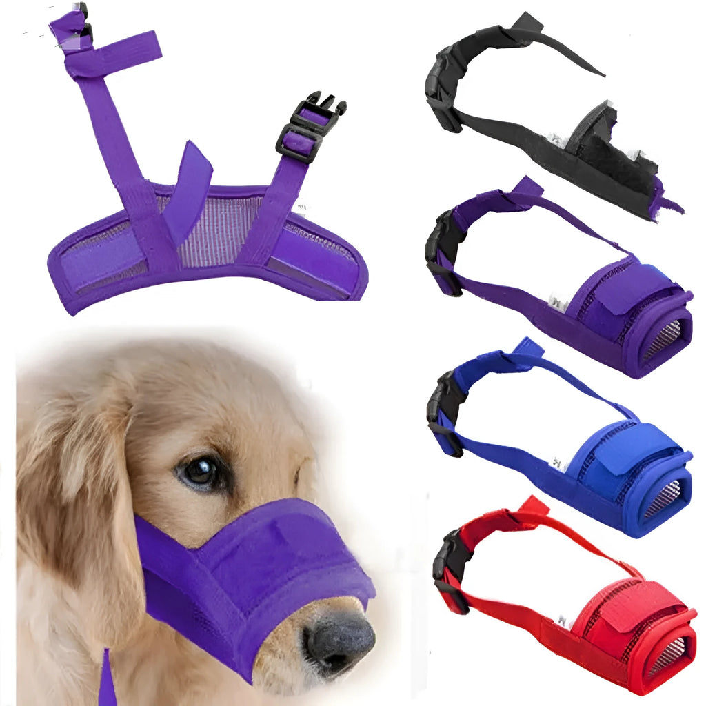 A plastic adjustable dog muzzle shown in multiple colours including black, blue, and pink.