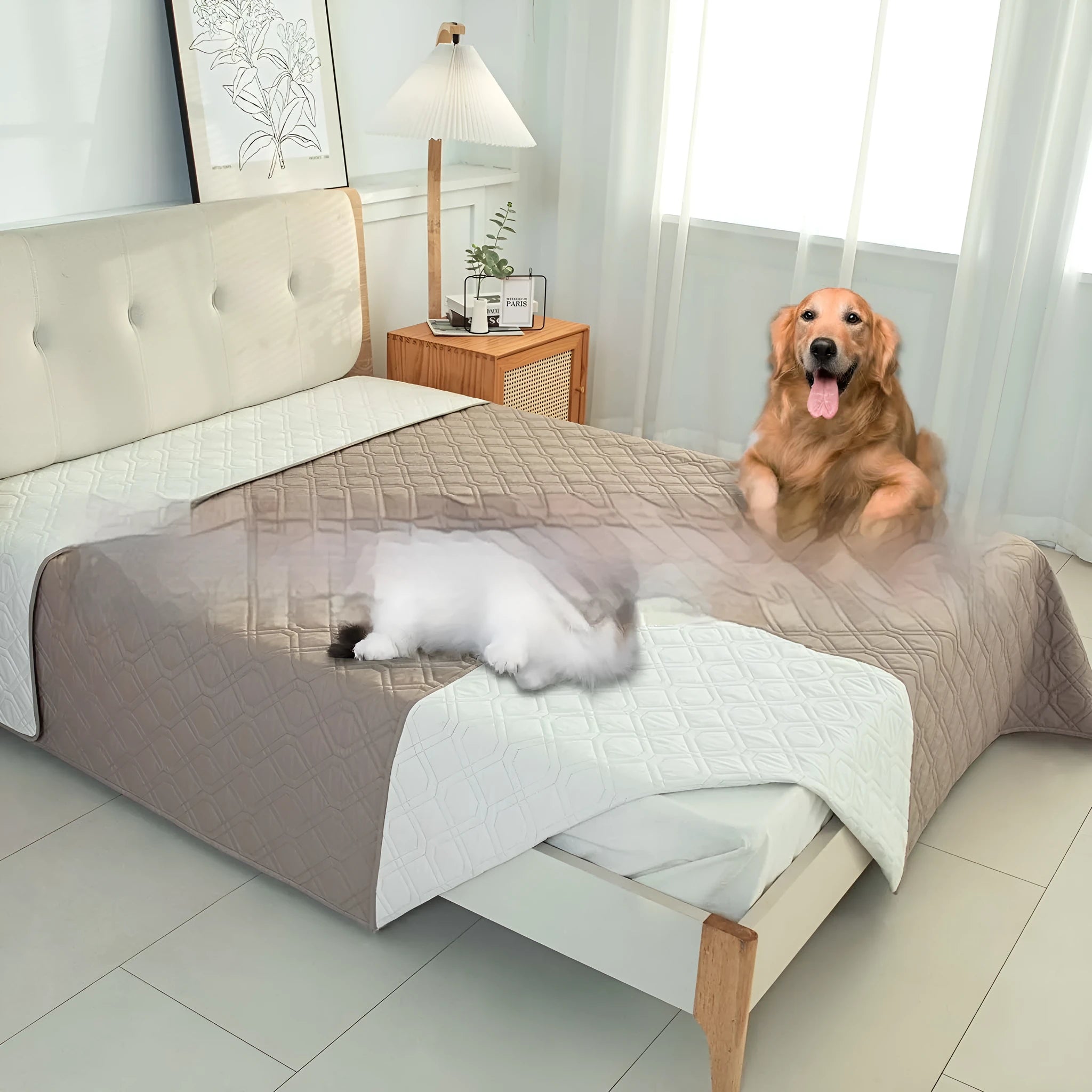 Reversible waterproof pet cushion for sofas in two-tone colours, shown alongside a size chart.