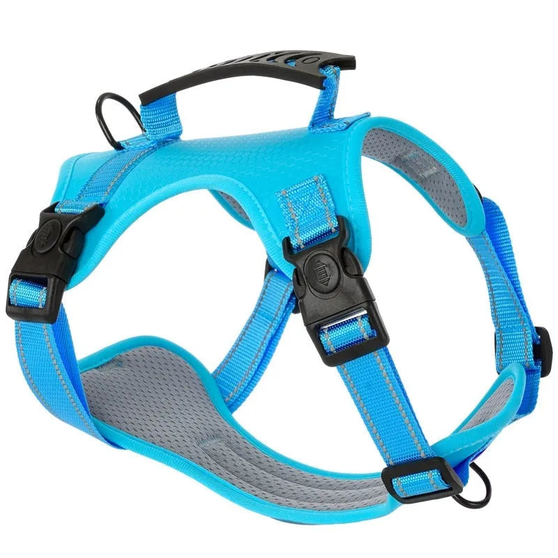 Adjustable dog harness and lead set in multiple colours with chest strap design