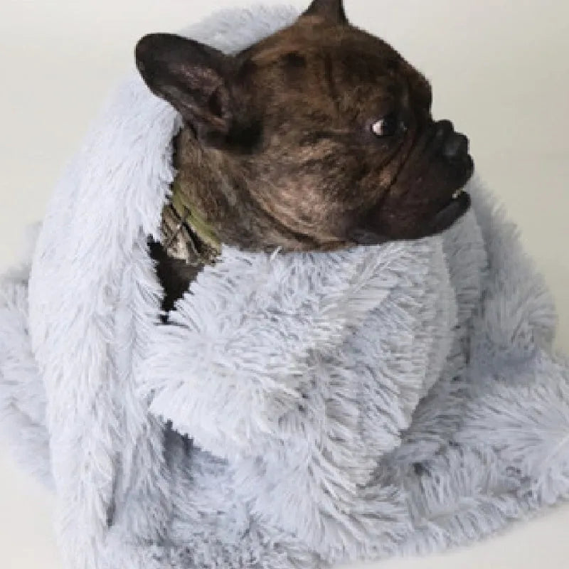 Wool and polyester pet blanket in long plush material showing colour options and size comparison