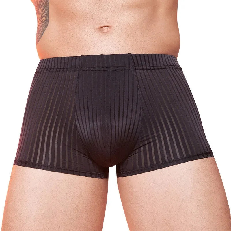 Men's striped underwear in black, white, and dark grey colours showing thin transparent nylon fabric