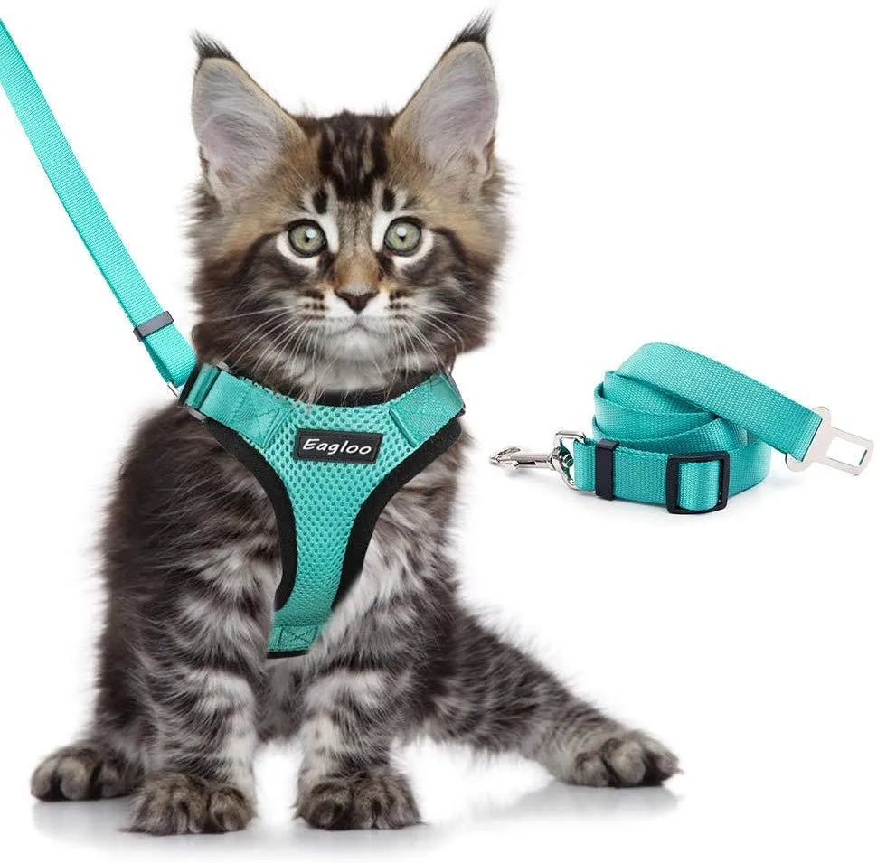 Escape proof reflective cat vest harness with car seat belt adapter for kittens