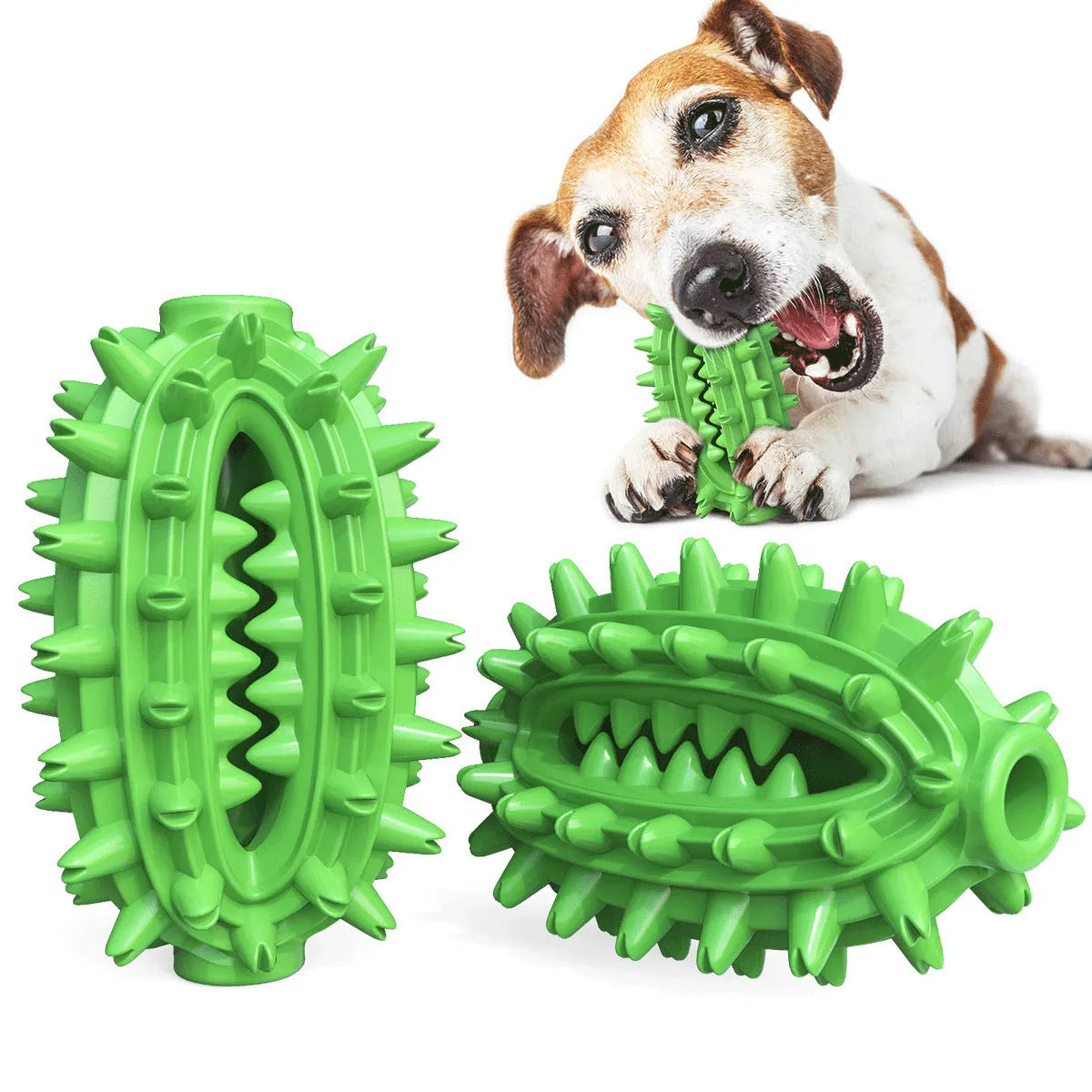Green cactus-shaped dog chew toy for dental cleaning, made from food-grade rubber.