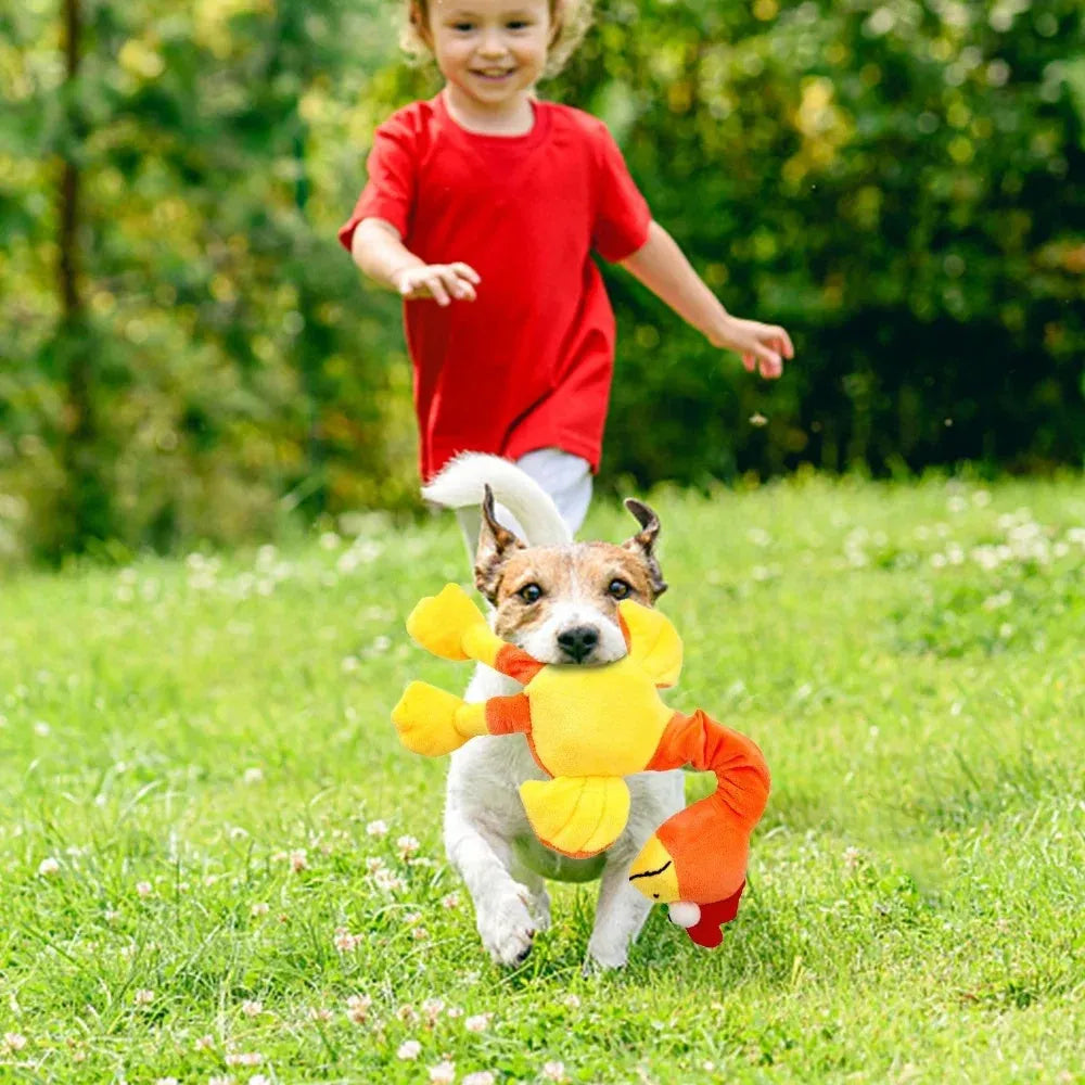 Screaming chicken sound dog chew toy in bite-resistant rubber, available in three colours.