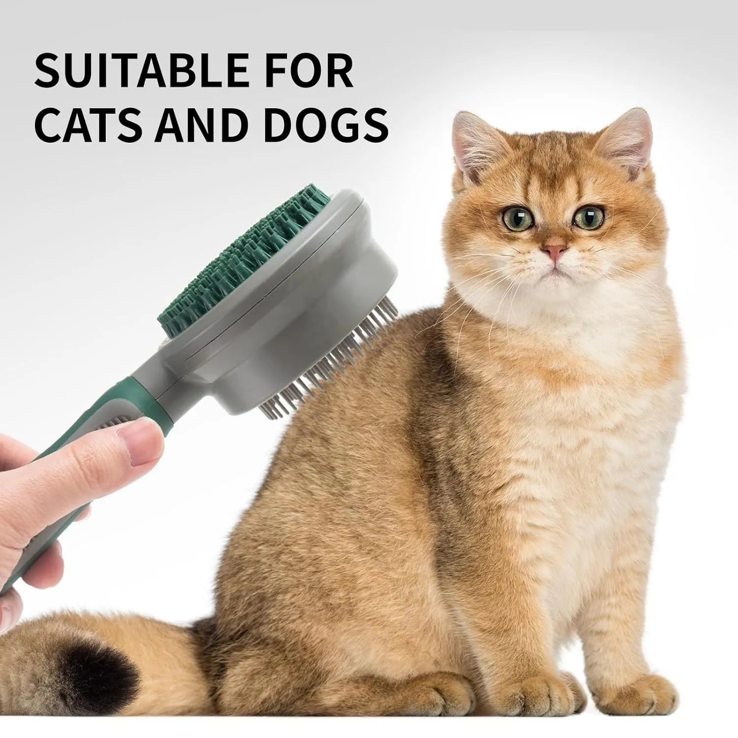 Green and pink two-sided silicone cat grooming brush with retractable slicker and massage pins