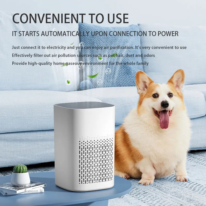 Simple style desktop air purifier with USB port and filter for small rooms.