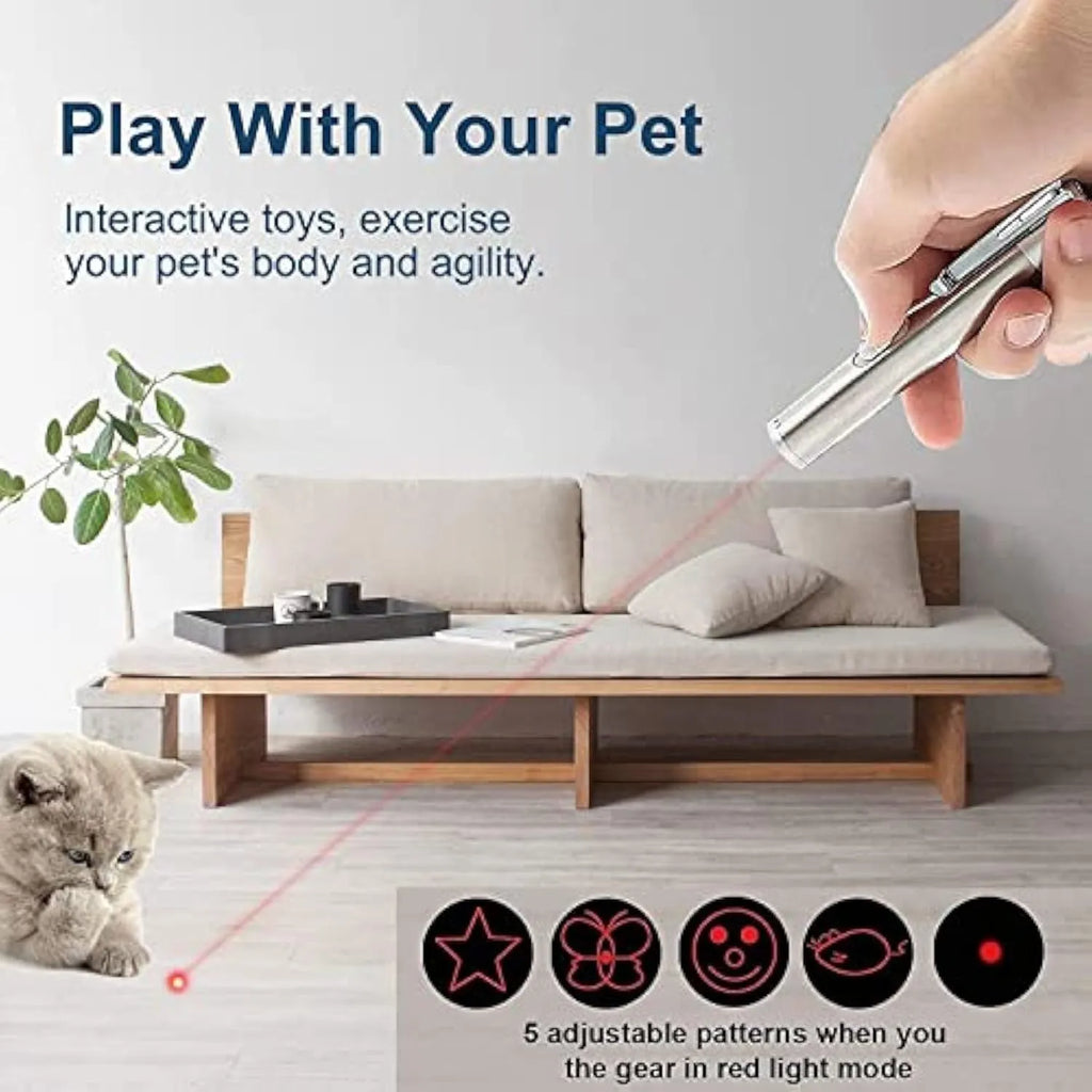 Silver aluminium alloy cat laser toy pointer with USB charging port