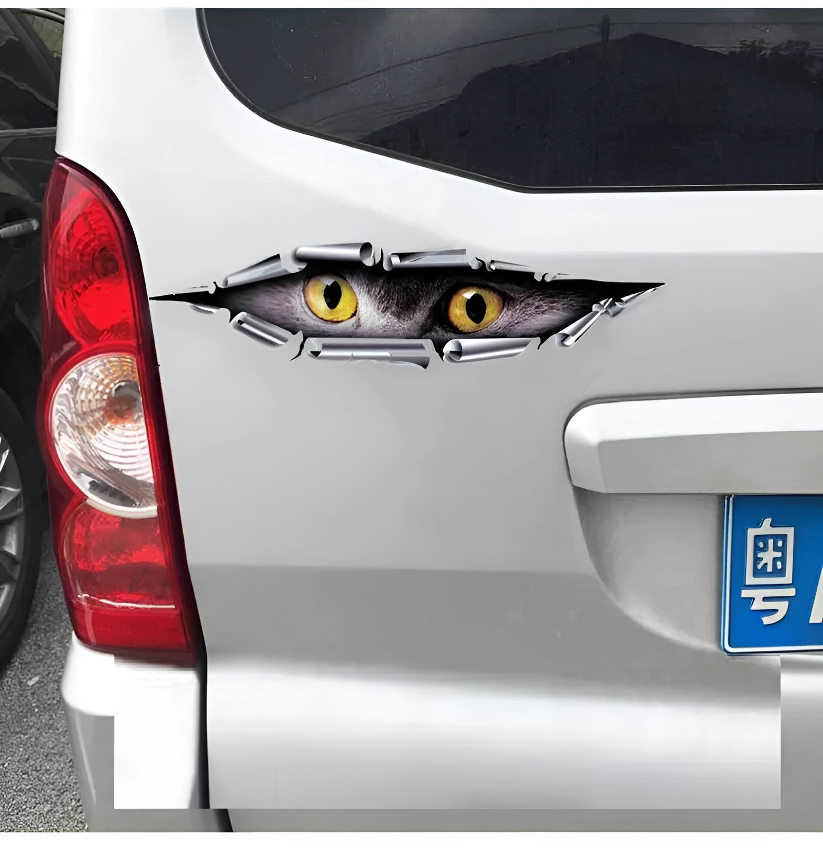 3D Tiger Eye or Eagle Eye peeping design car bumper sticker on transparent PVC background