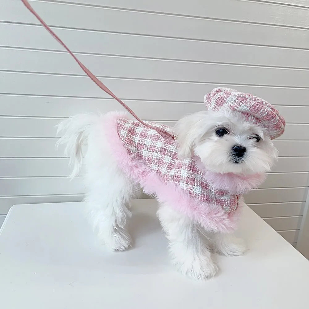 Pink polyester cat costume with a hooded beret and a matching cape on a cat