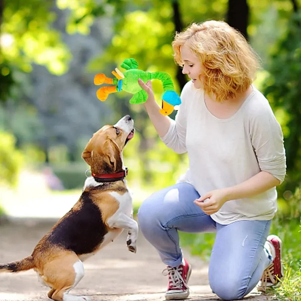 Screaming chicken sound dog chew toy in bite-resistant rubber, available in three colours.