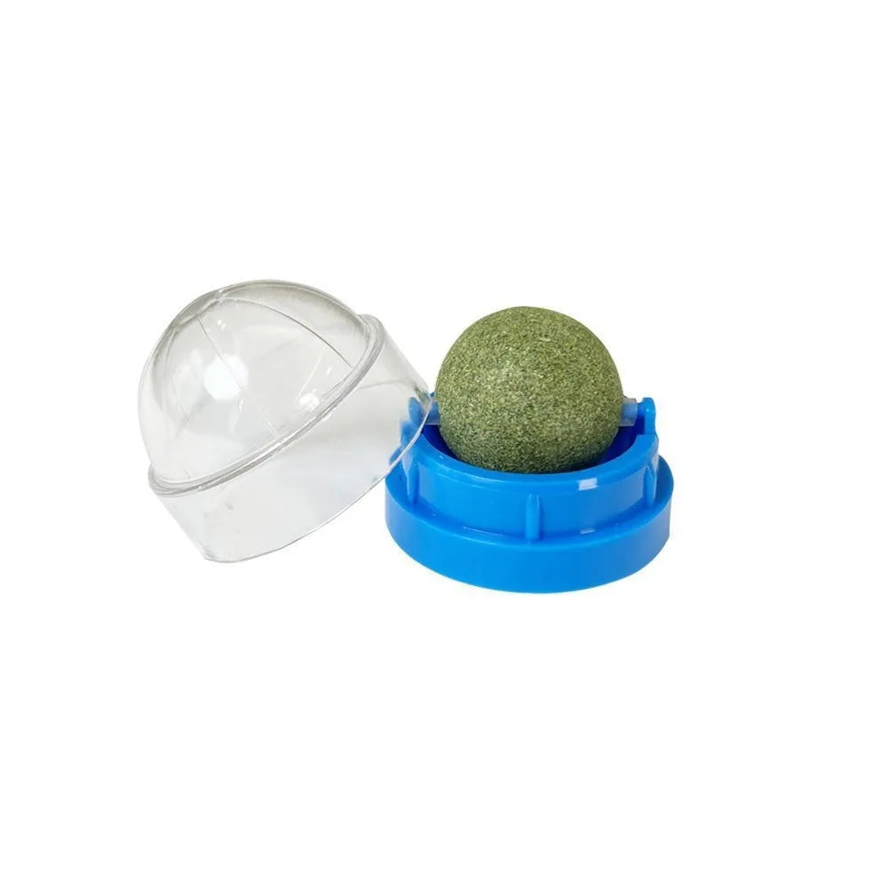 Plastic catnip ball cat toy for teeth cleaning in assorted colours including pink, blue, green.