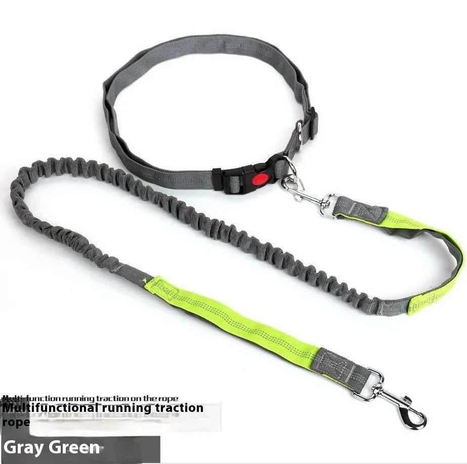 Gray and green reflective elastic dog leash with nylon webbing and a clip, laid flat to show its 2.5cm width.