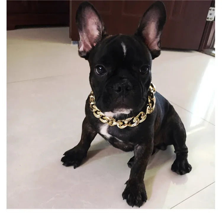 Geometric twisted chain dog collar with buckle on a white background, shown in a gold colour.