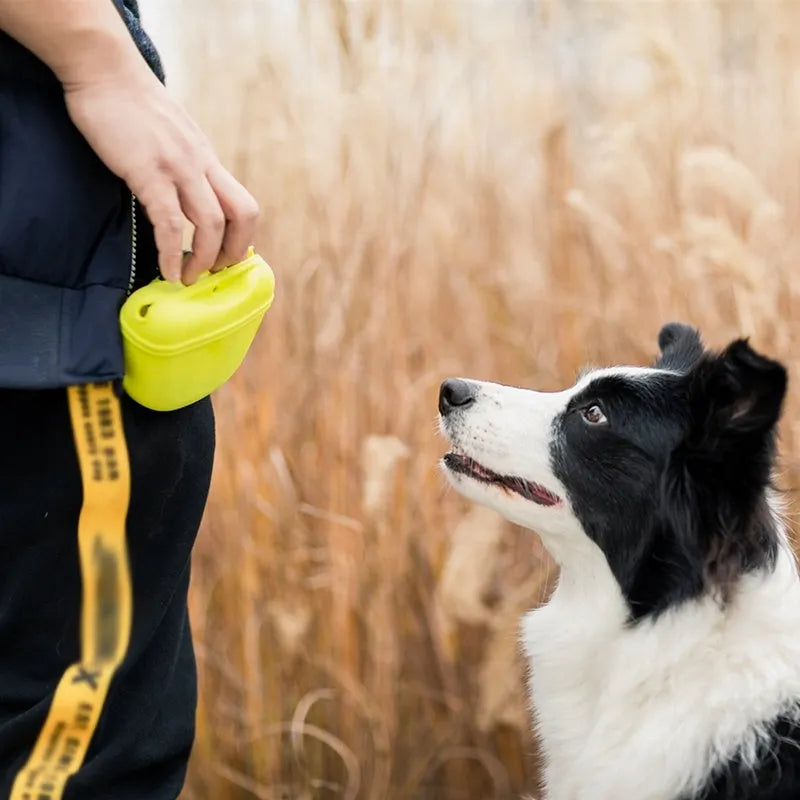 Silicone dog treat training pouch with clip and magnet closure in assorted colours